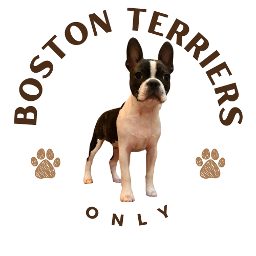 Boston Terriers Only, LLC