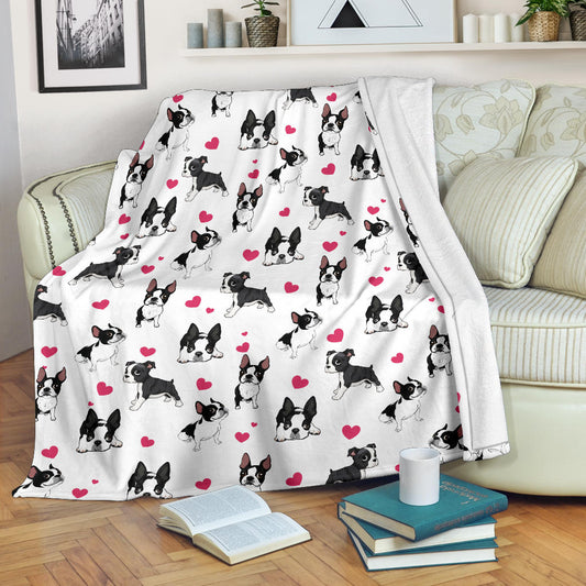 Boston Terrier, blanket, gift, gifts