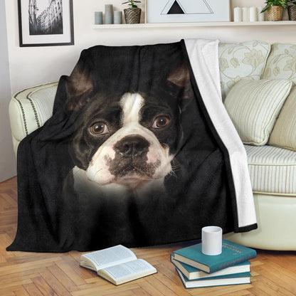 Boston Terrier, face, blanket, gift, gifts