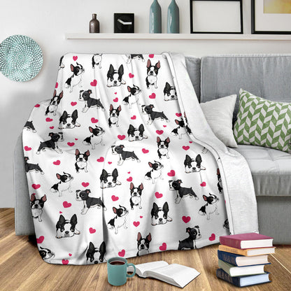 Boston Terrier, blanket, gift, gifts