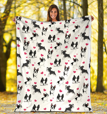 Boston Terrier, blanket, gift, gifts